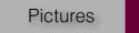 Pictures